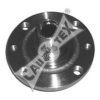 CAUTEX 011020 Wheel Hub